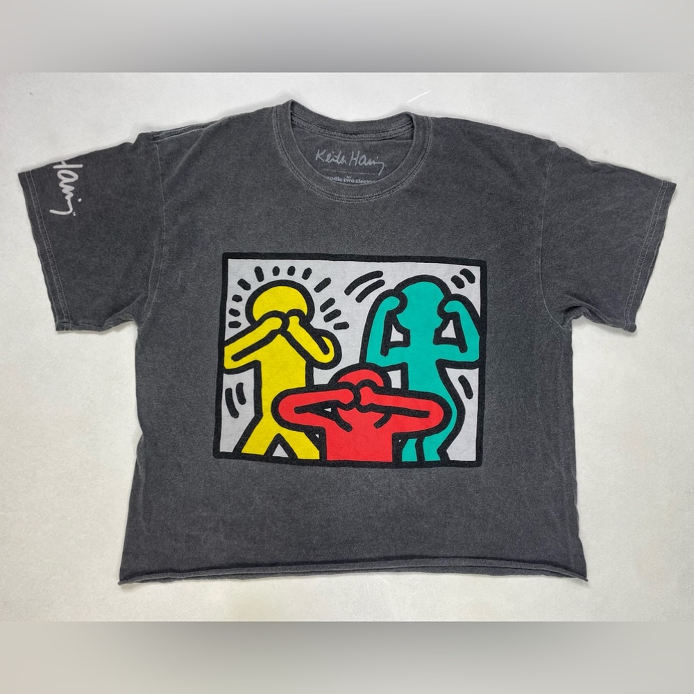 Keith Haring Art Crop Graphic T-shirt Women Large Gray Short Sleeve